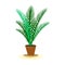 Vector image shows green plant in brown pot cartoon