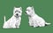 Vector image of sketches of sitting scottish terriers