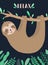 Vector image of a sleepy cute sloth on the branch in the night. Hand-drawn cartoon illustration for child, tropical summer,