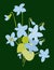 Vector image of small bouquet spring violets
