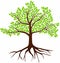 Vector image of a tree on a white background