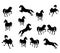 Vector images of black isolat ed silhouettes of sports galloping and jumping horses on white background