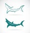 Vector images of sharks design