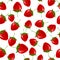 Vector infinite pattern with berries