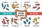 Vector infographics of the human gut microbiota