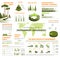 Vector infographics for nature environment ecology