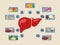 Vector infographics of vitamins and minerals for a healthy liver.