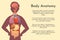 Vector internal organs collection in cartoon style. Anatomy of human body. Man biology organ: Heart, brain, lungs, liver