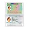 Vector international open passport with France visa