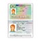 Vector international open passport with Iceland visa
