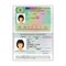 Vector international open passport with Spain visa