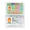 Vector international open passport with Switzerland visa
