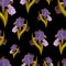 Vector iris pattern on black background