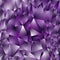 Vector irregular polygonal square background - triangle low poly pattern - holographic ultra violet purple black white