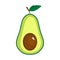 Vector isolated avocado on white background. Vector illustration