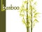 Vector isolated bamboo with leaves and branches on a white background. Illustration in Chinese and Japanese style in