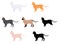 Vector isolated cat set different breeds on white
