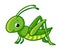 Vector isolated cute green grasshopper.