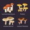 Vector isolated edible natural mushrooms in nature set, organic vegetable food collection of illustrations, forest .