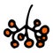 Vector isolated element of berries in a bunch of mountain ash in orange-red color, hand-drawn in the doodle style on a white