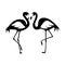 Vector isolated flamingos pair. Black and white illustration