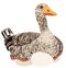 Vector isolated illustration of goose sitting on eggs.