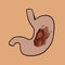Vector isolated illustration of meat digestion.