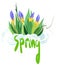 Vector isolated illustration of snowdrops. Spring concept.