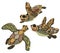 Vector isolated illustration of three sea turtles.