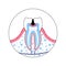 Vector isolated illustration of tooth