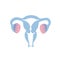 Vector isolated illustration of uterus