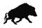 Vector isolated image of a black silhouette of a running lone wild boar