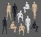 Vector Isolated Mannequins