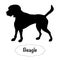 Vector isolated silhouette of Beagle dog on white background.