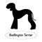 Vector isolated silhouette of  bedlington dog on white background.