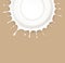 Vector isolated splash of sour cream on a brown background