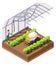 Vector isometric agricultural greenhouse weeding robot