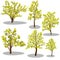 Vector isometric trees and decorative bushes