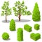 Vector isometric trees and decorative bushes