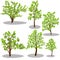 Vector isometric trees and decorative bushes