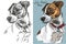 Vector Jack Russel terrier in color and black and white