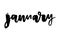 Vector. January ink drawn calligraphy. Brush painted calligraphy isolated on white. January lettering, cursive, January