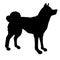 Vector Japanese akita inu dog silhouette