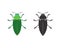 Vector of jewel beetle on a white background. Insect. Animal. Beetle. Easy editable layered vector illustration