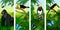 Vector Jungle rainforest vertical baner with male gorilla, pale-mandibled aracari toucanet, harpy eagle , rainbow-billed toucan a