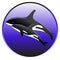 Vector killer whale swim in the ocean with a baby