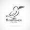 Vector of kingfishers birdAlcedo atthis on white background. Bird Design. Kingfishers logo or icon. Easy editable layered vector