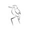 Vector of a kingfishers Black on white background. Bird Design. icon. logo. symbol. Illustrator. animal