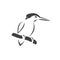 Vector of a kingfishers Black on white background. Bird Design. icon. logo. symbol. Illustrator. animal