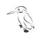 Vector of a kingfishers Black on white background. Bird Design. icon. logo. symbol. Illustrator. animal